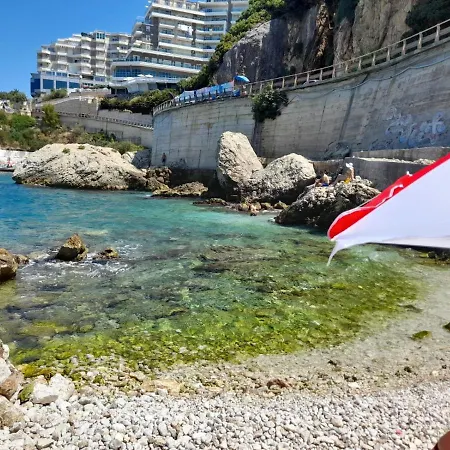 The Blue Horizon Radhima